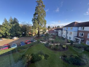 View from Lounge- click for photo gallery